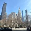 nyccandme