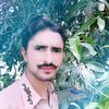 barkatullah5540