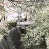 gaidepvocungtan1221