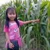 phm.hong.diu