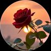 esha.mehar59