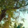 wasda_11