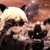 coolnoir._