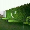 gulfamkhan863
