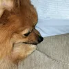 ATUKi