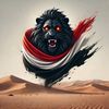 عمران الادريــــــسي