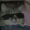 shela_3.21