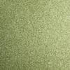 sqarpion3