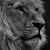 user2107613114032