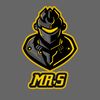 mgshn12