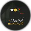 ziafat.khan20