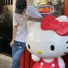 .nao.e.o.ryan