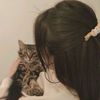 web_developer_3