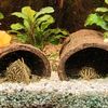 schlampus3