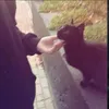 vvtva8
