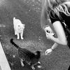 .mathildehopkins