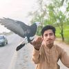 qasim.sindhi01