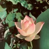 hao.huyen00