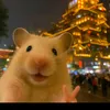 vanminh_121