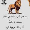 user2146056856749