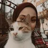 hafida.ahraba