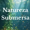natureza.submersa