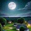 faizan.khan30785