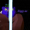 ziggy_shorts_ac