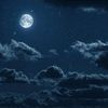 night_gurll_547