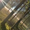 kimberly.hagemans6