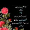 muhammadsaleemran21