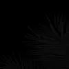 allyax_1