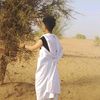 user13501143515863