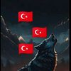 levocan0133can6134