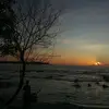bintang.bin08
