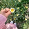 sama.mohamed7656