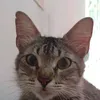 leninha_leninha_leninha
