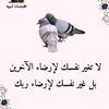 user9047128152904