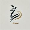 ghazal_car1