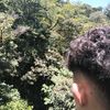 gerald.10_5
