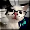 diell_solars