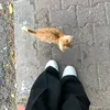ar_li23