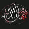 _iarq_313