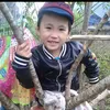 tranghoanghini