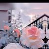 usman.ghani6281