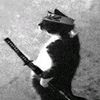 _hassen_6