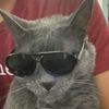 alexis_is_awsomesauce_