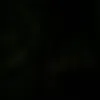 dxmg037