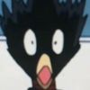 birdlover624
