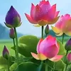 user2719657575316